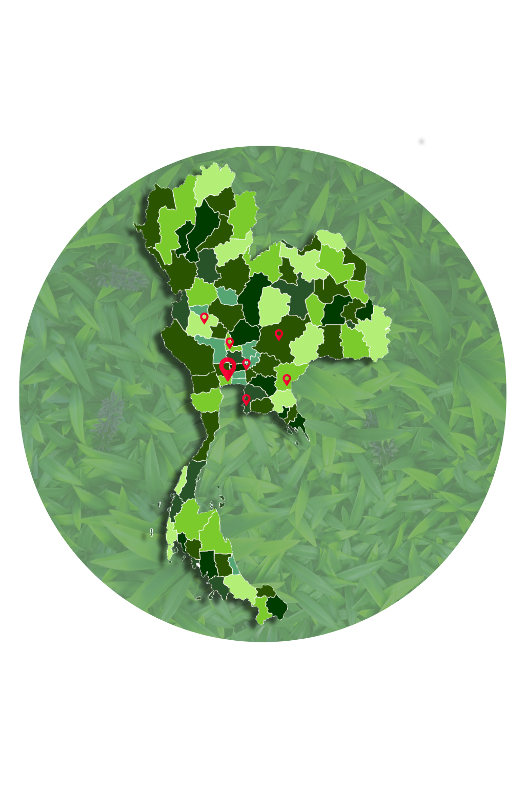 หญ้าเทียมคุณภาพสูง